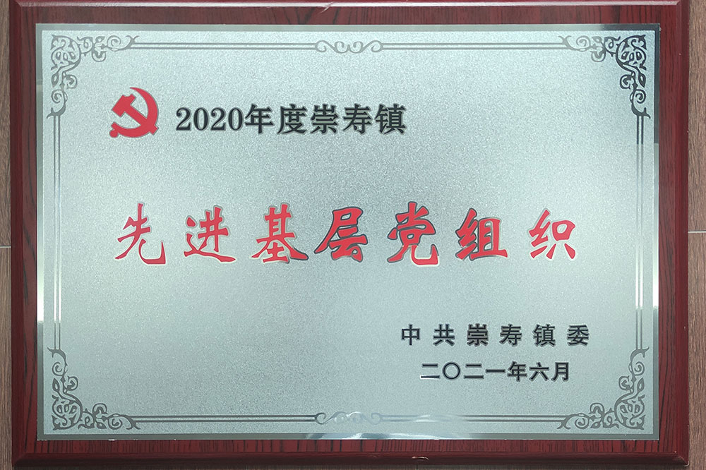 2021年崇寿镇先进基层党组织荣誉牌匾